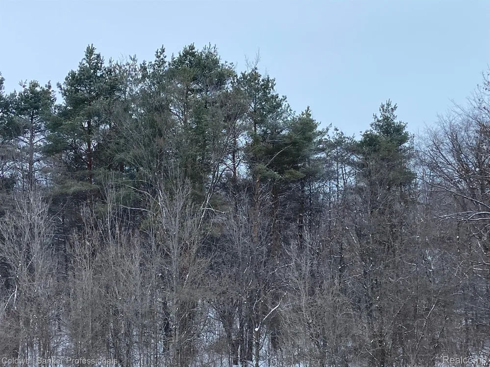 8899 DWYER ROAD Hartland Township, MI 48855