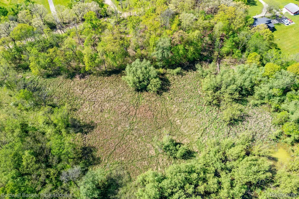8899 DWYER ROAD Hartland Township, MI 48855