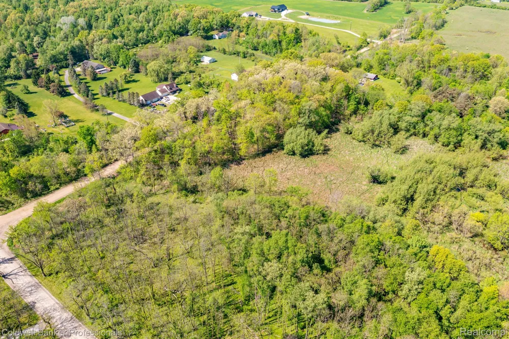 8899 DWYER ROAD Hartland Township, MI 48855