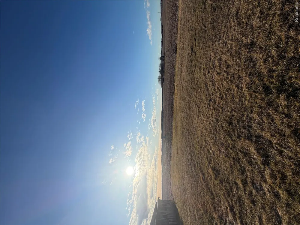 2455 Jacob Road Ellington Township, MI 48723