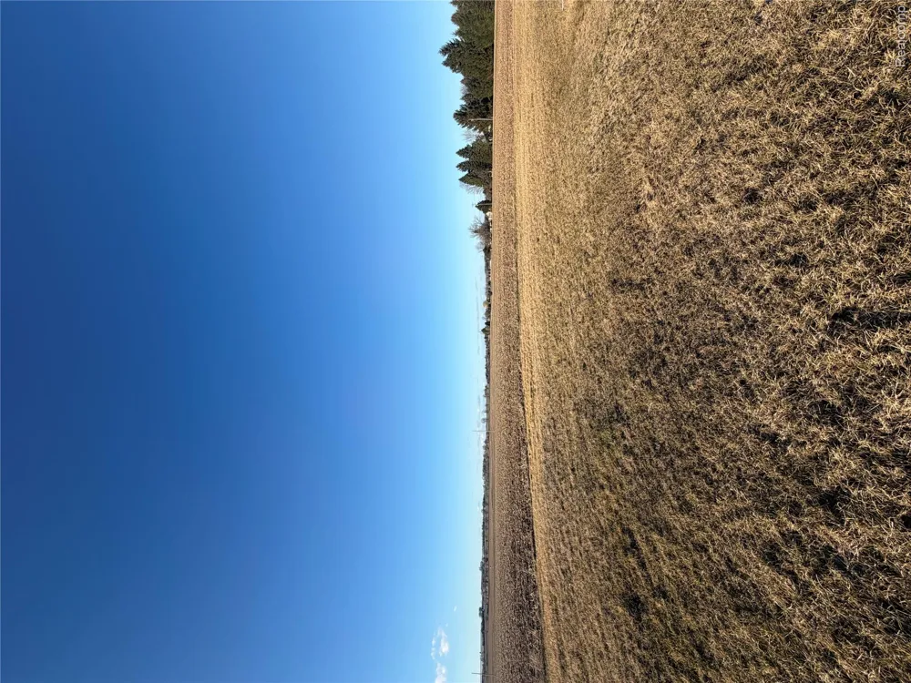 2455 Jacob Road Ellington Township, MI 48723