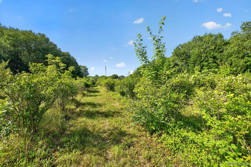 Gillette Flushing Charter Township, MI 48433
