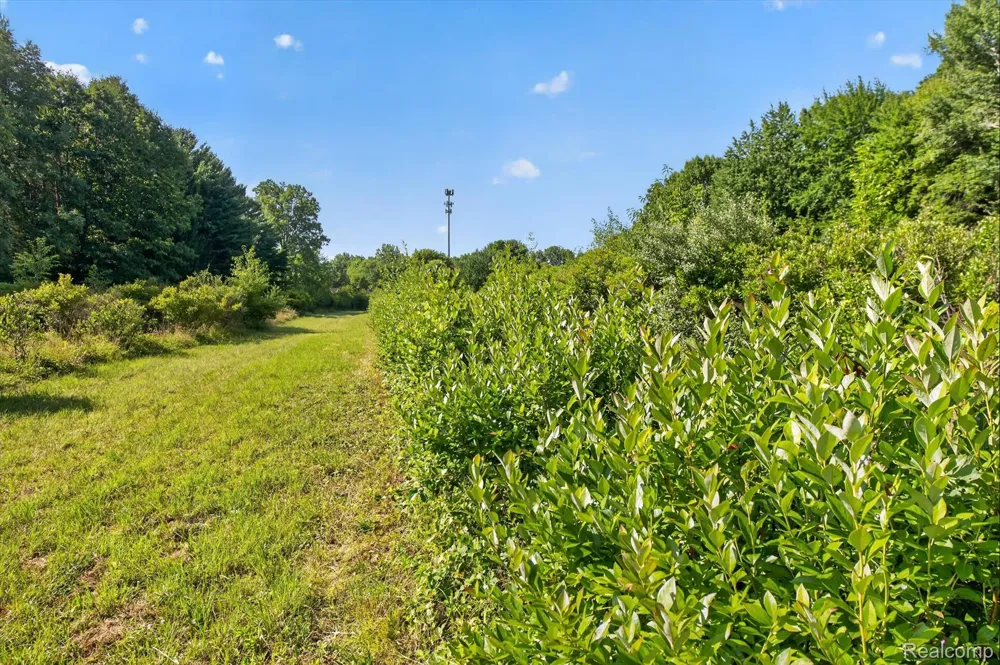 Gillette Flushing Charter Township, MI 48433