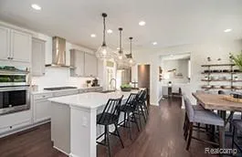 58584 Selma Drive Lyon Charter Township, MI 48178