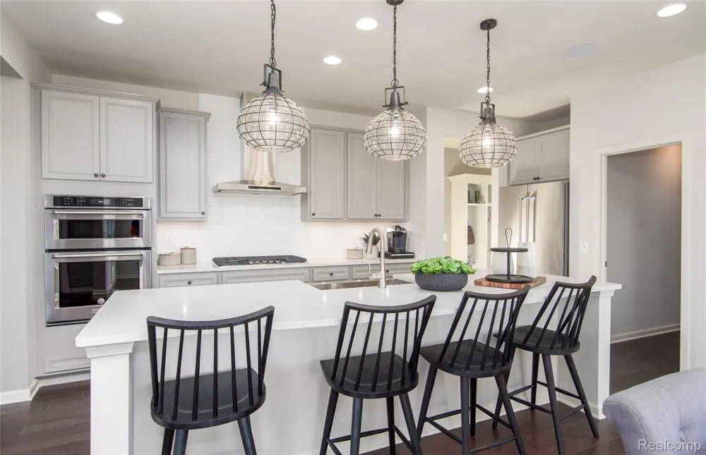 58584 Selma Drive Lyon Charter Township, MI 48178
