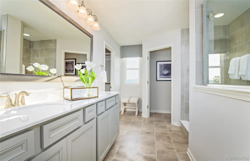 58584 Selma Drive Lyon Charter Township, MI 48178