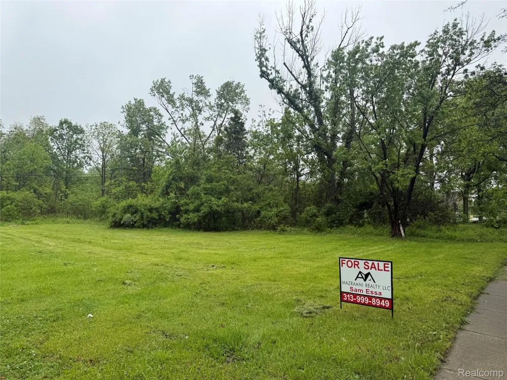 Merriman Road Romulus City, MI 48174
