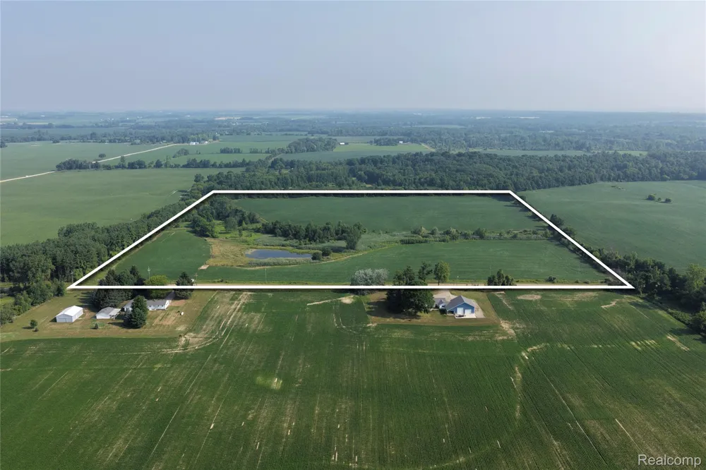 Custer Rd Sanilac Township, MI 48419