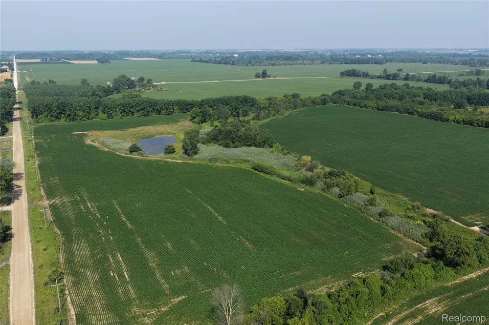 Custer Rd Sanilac Township, MI 48419