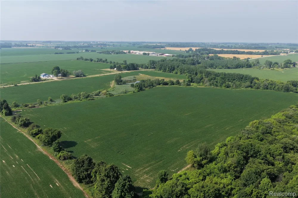 Custer Rd Sanilac Township, MI 48419