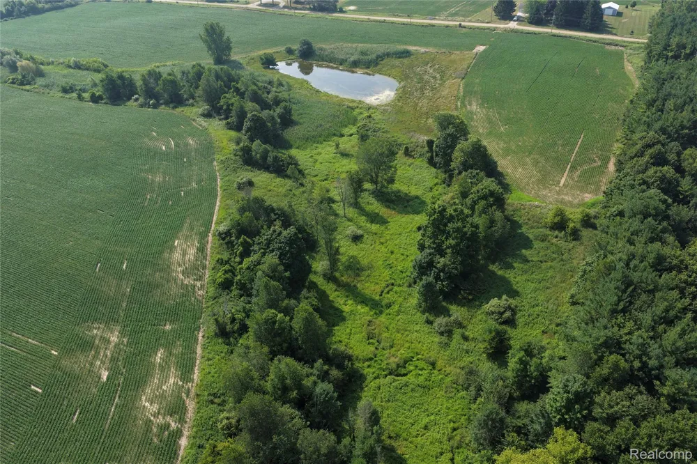 Custer Rd Sanilac Township, MI 48419