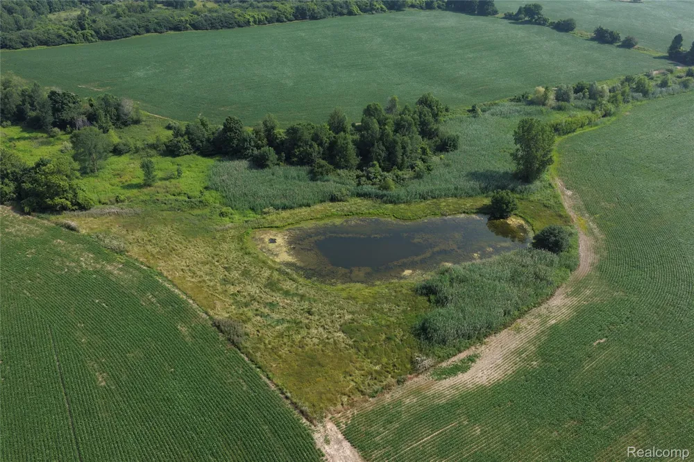 Custer Rd Sanilac Township, MI 48419