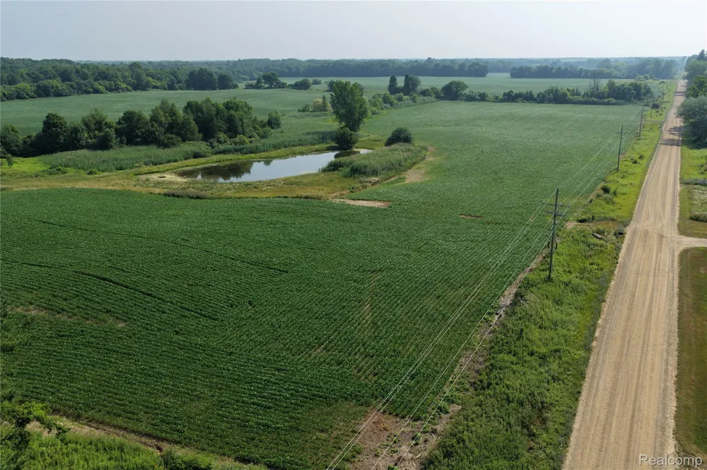 Custer Rd Sanilac Township, MI 48419