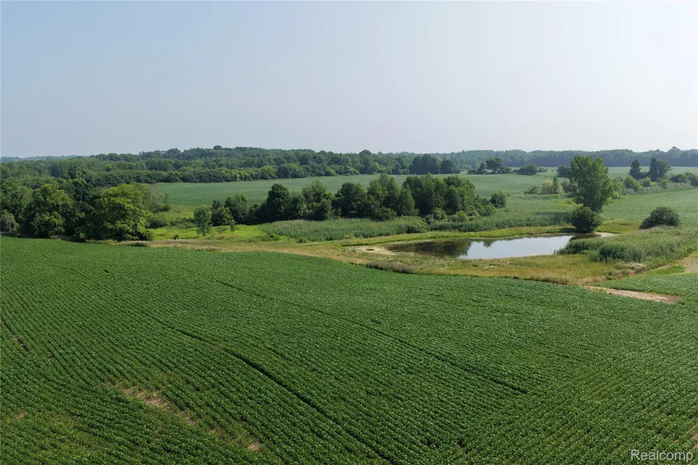 Custer Rd Sanilac Township, MI 48419