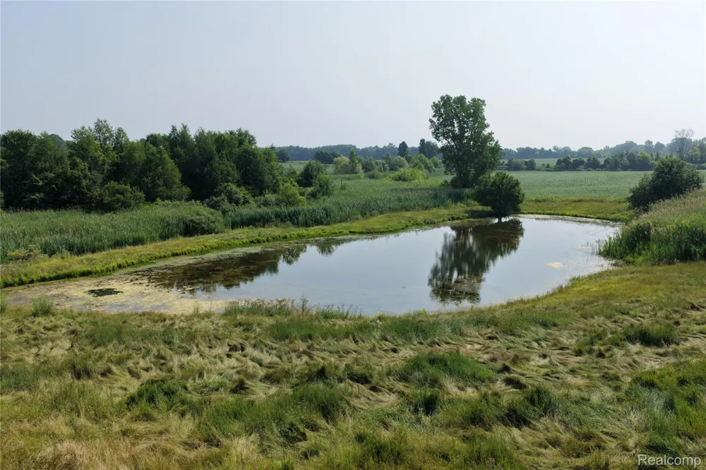 Custer Rd Sanilac Township, MI 48419