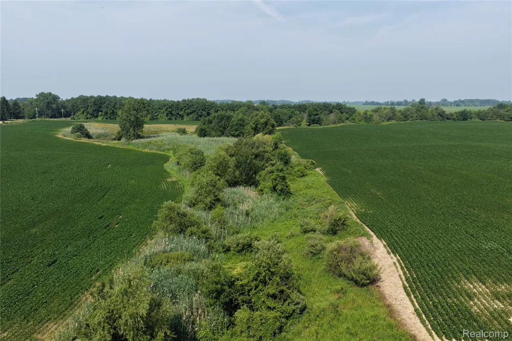 Custer Rd Sanilac Township, MI 48419
