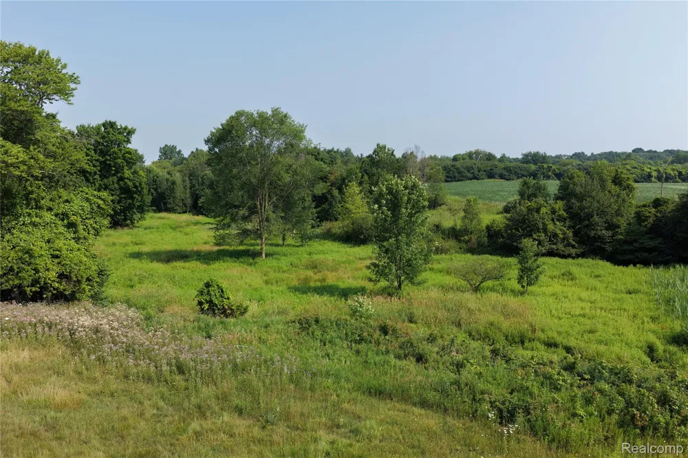 Custer Rd Sanilac Township, MI 48419
