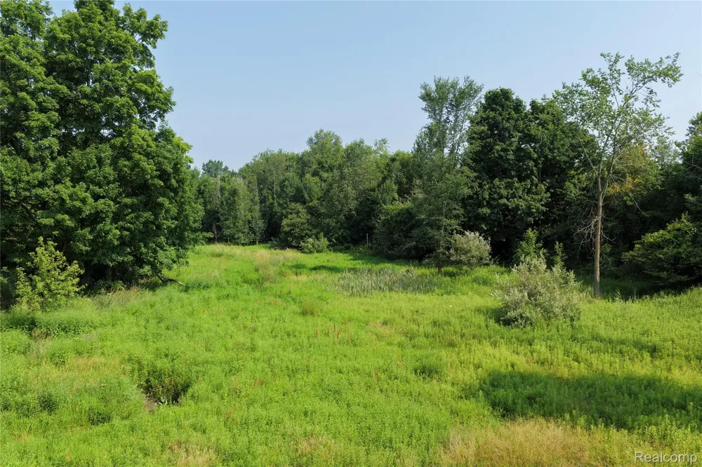 Custer Rd Sanilac Township, MI 48419