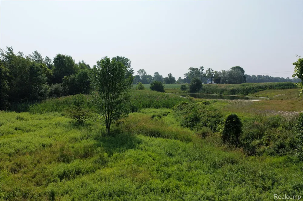 Custer Rd Sanilac Township, MI 48419