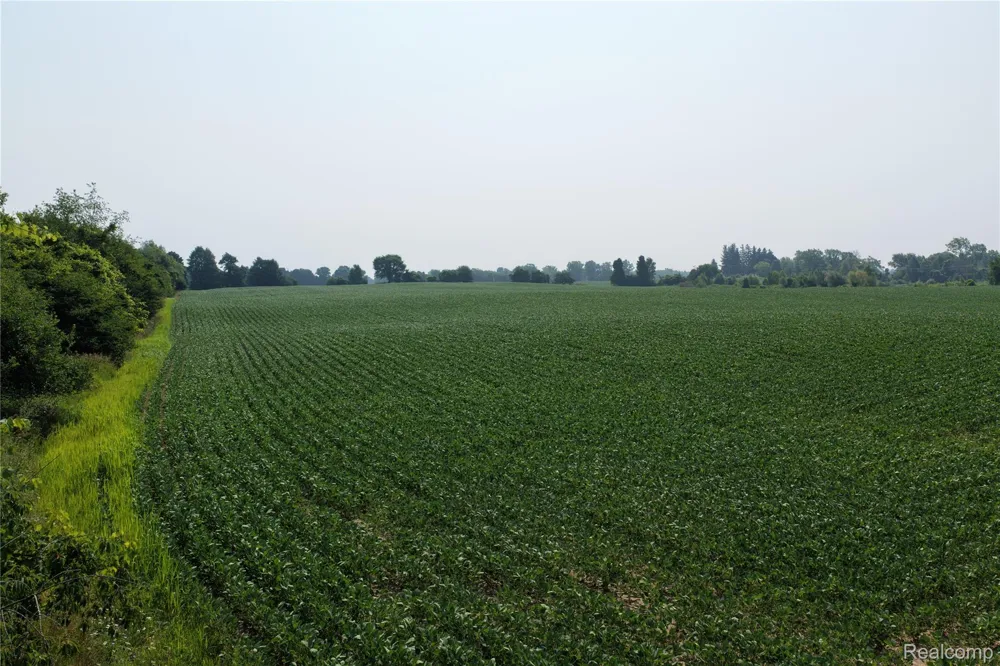 Custer Rd Sanilac Township, MI 48419