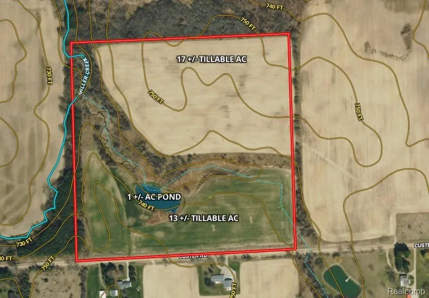 Custer Rd Sanilac Township, MI 48419