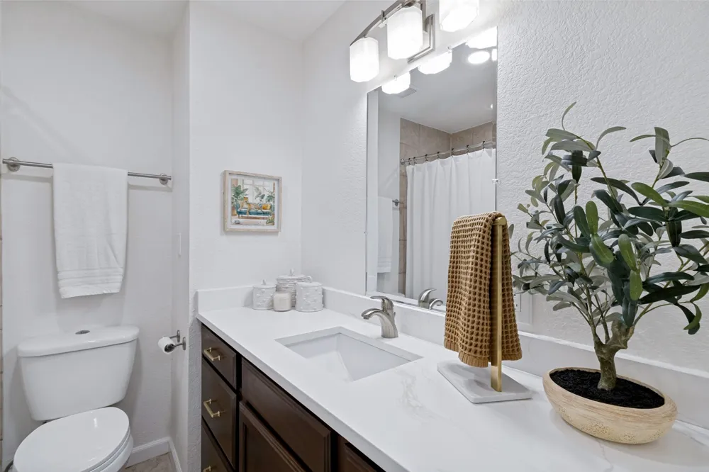 9480 Timberleaf Drive Dallas, TX 75243