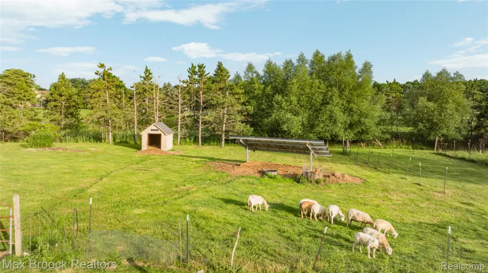 3054 Emery Lane Hadley Township, MI 48455