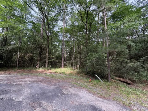 Clear Springs Road