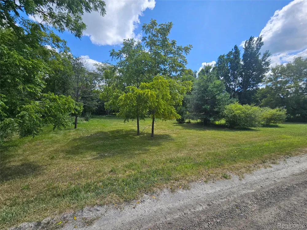 BYRON ROAD Cohoctah Township, MI 48836