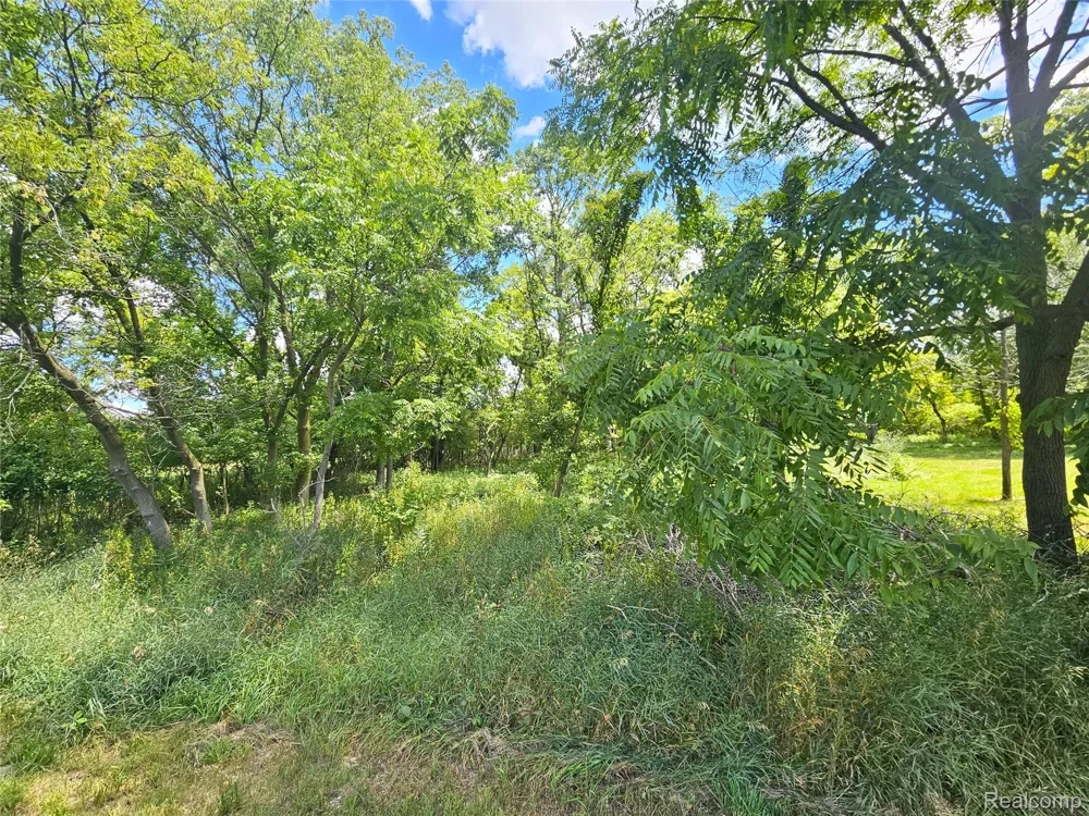 BYRON ROAD Cohoctah Township, MI 48836