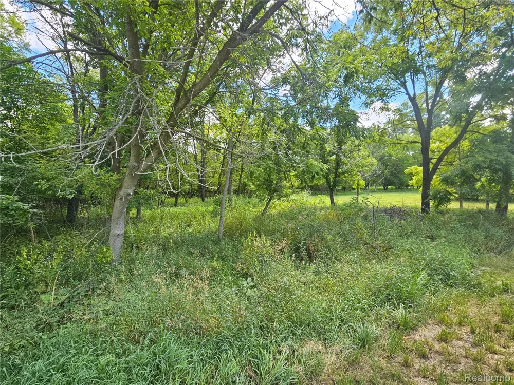 BYRON ROAD Cohoctah Township, MI 48836
