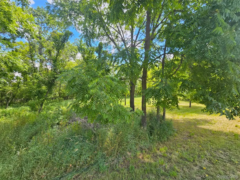 BYRON ROAD Cohoctah Township, MI 48836