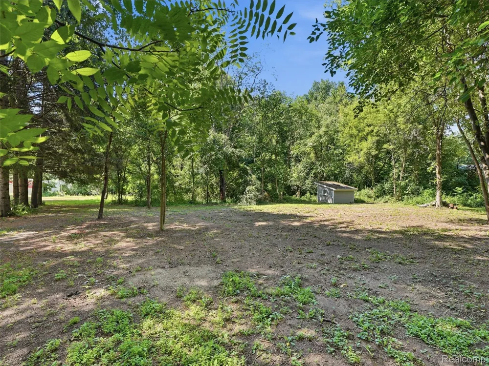 25980 Lyman Lane Lyon Charter Township, MI 48165