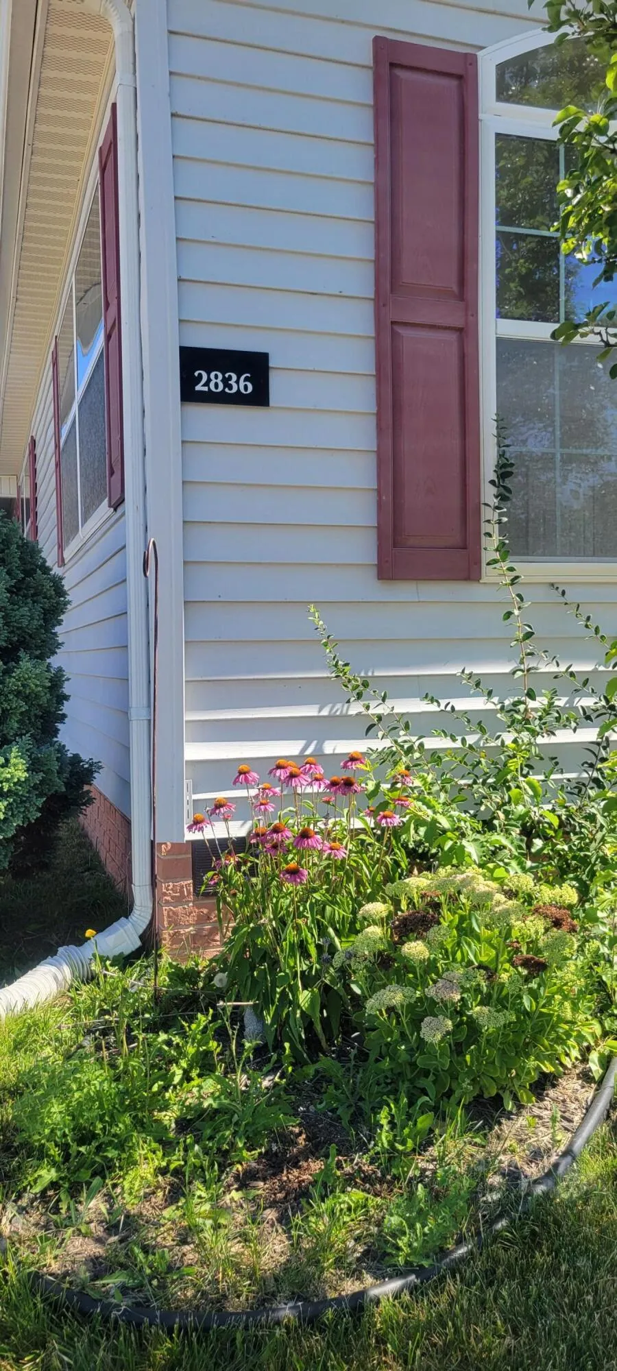 2836 Verona Drive Salem Township, MI 48167