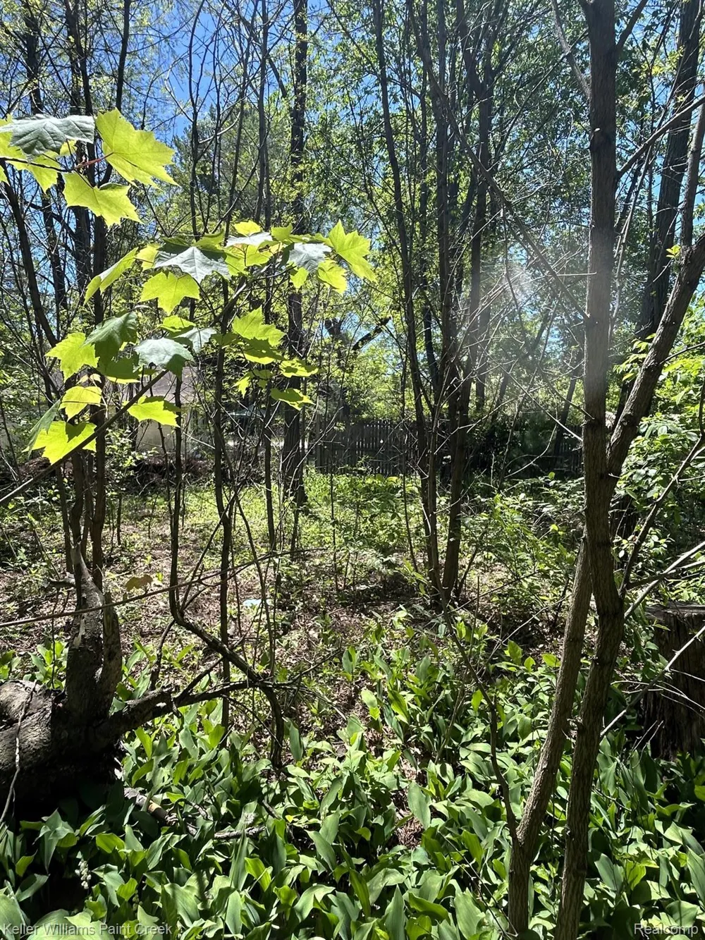Van Street Mills Township, MI 48756
