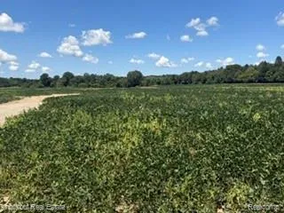 N Seymour Clayton Charter Township, MI 48433