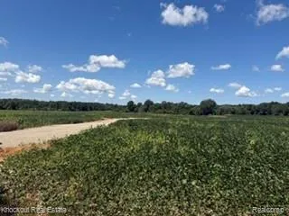 N Seymour Clayton Charter Township, MI 48433