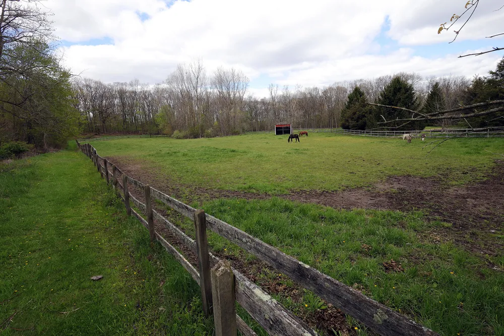 818 S Freer Road Lima Township, MI 48118