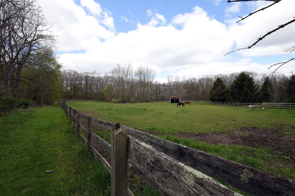 818 S Freer Road Lima Township, MI 48118