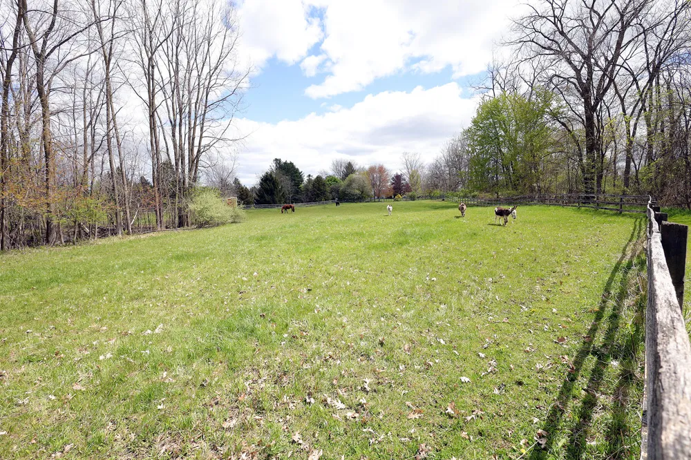 818 S Freer Road Lima Township, MI 48118