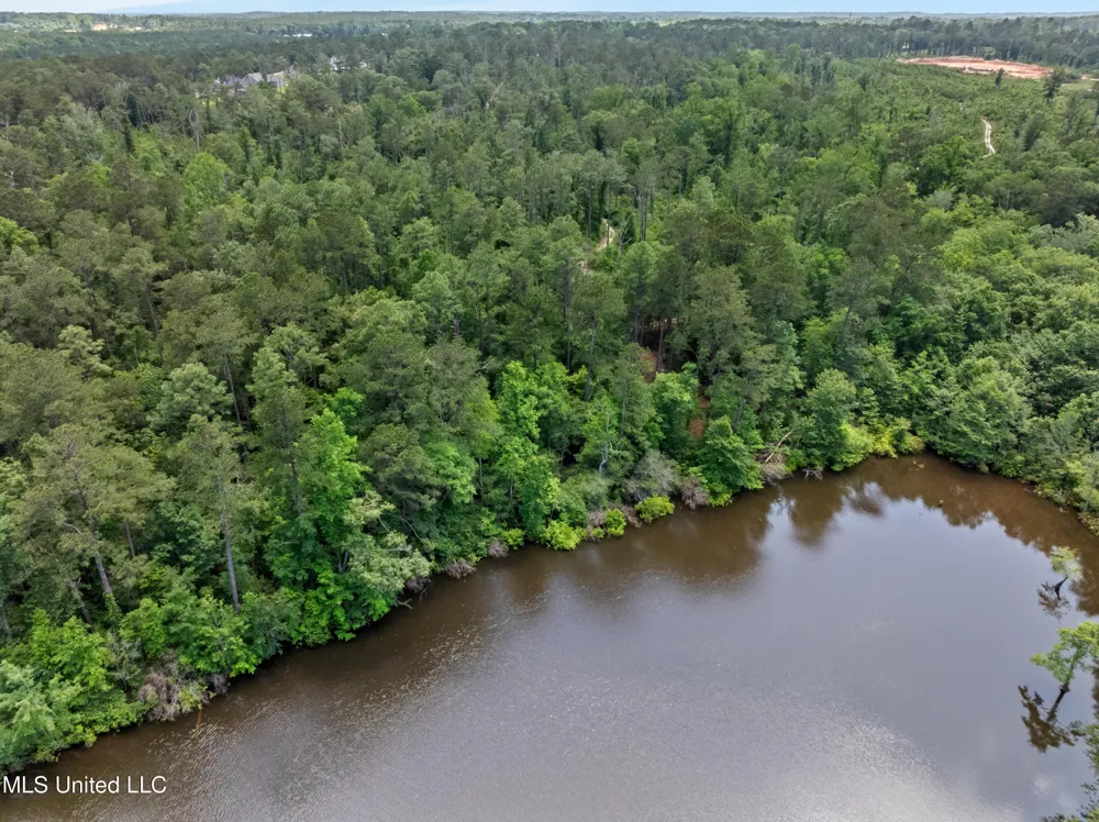 8 Acres Bridgewater Subdivision Sumrall, MS 39482