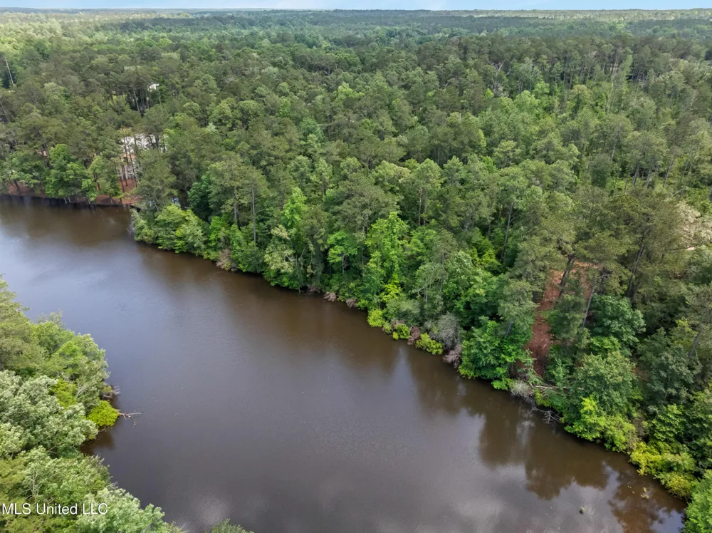 8 Acres Bridgewater Subdivision Sumrall, MS 39482