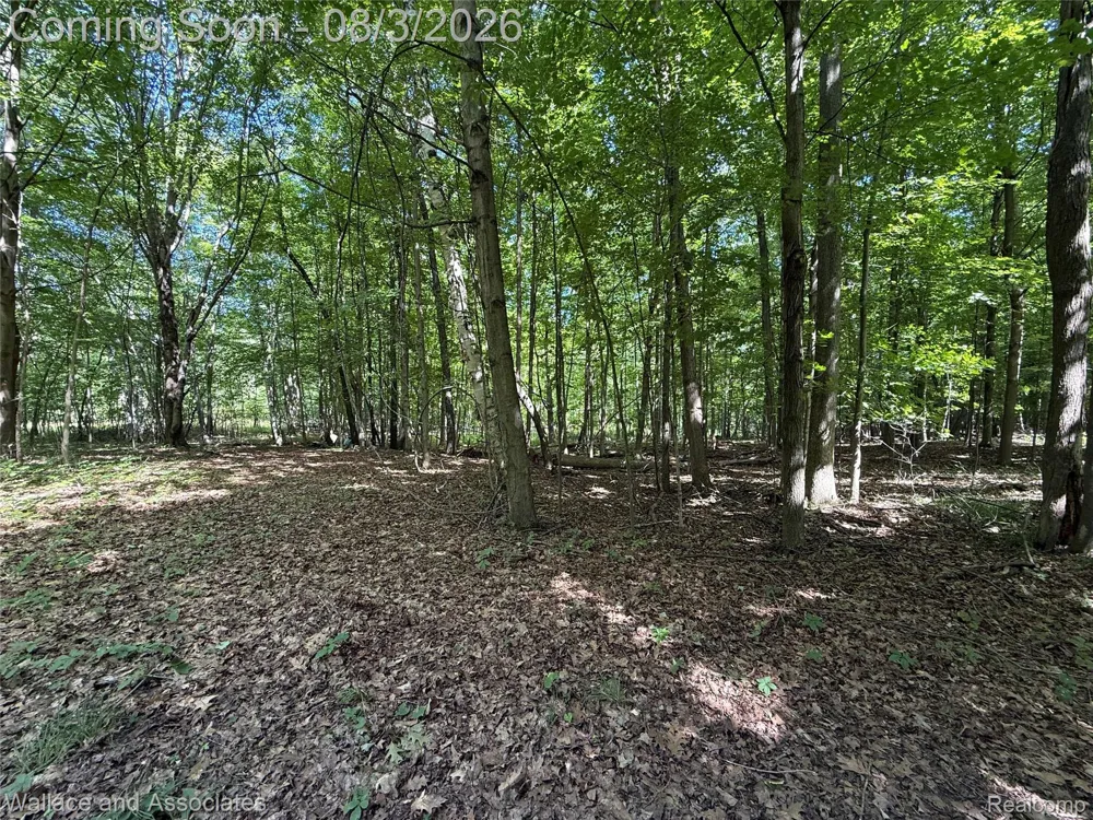 240 Townhall Road Speaker Township, MI 48454