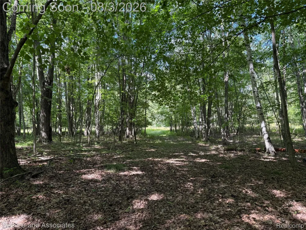 240 Townhall Road Speaker Township, MI 48454
