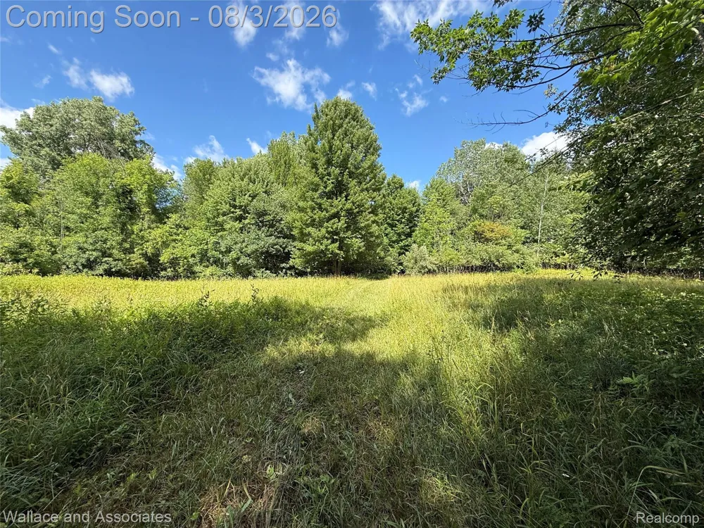 240 Townhall Road Speaker Township, MI 48454
