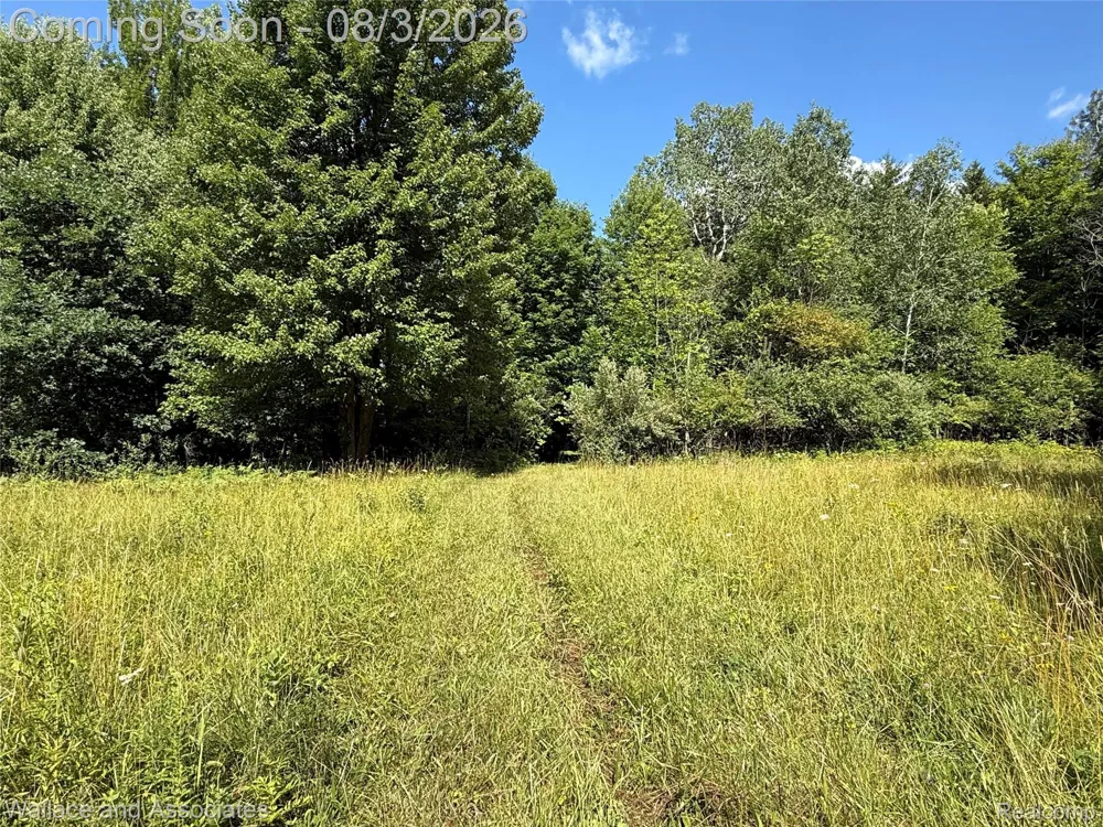 240 Townhall Road Speaker Township, MI 48454