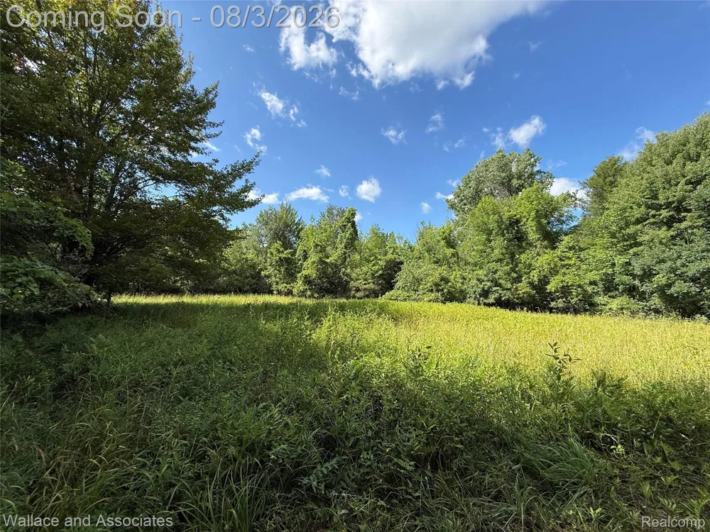 240 Townhall Road Speaker Township, MI 48454