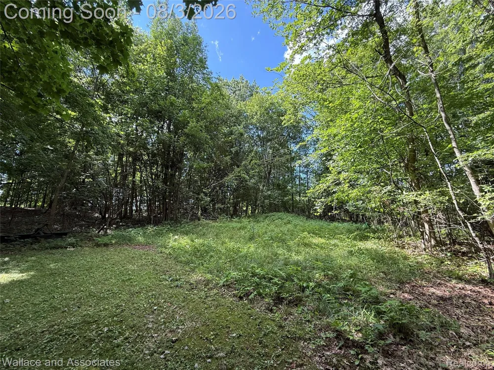240 Townhall Road Speaker Township, MI 48454