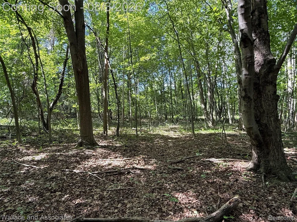 240 Townhall Road Speaker Township, MI 48454