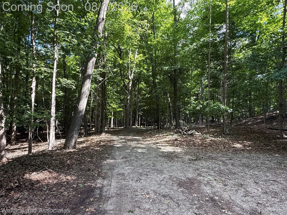 240 Townhall Road Speaker Township, MI 48454
